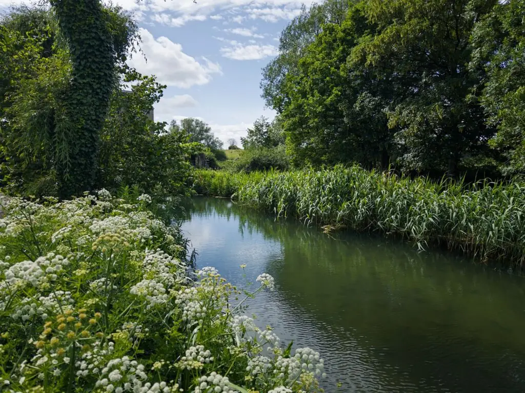 A tranquil river winding through green countryside with wildflowers along the bank, a generic UK-countryside scene used to illustrate the Nicola Bulley investigation story