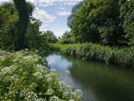 A tranquil river winding through green countryside with wildflowers along the bank, a generic UK-countryside scene used to illustrate the Nicola Bulley investigation story