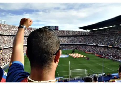 Soccer fan raising a fist in celebration at a packed stadium during a match