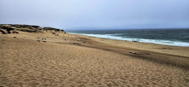 Sand dunes, shorebreak and ocean at Marina State Beach photographed in July 2023