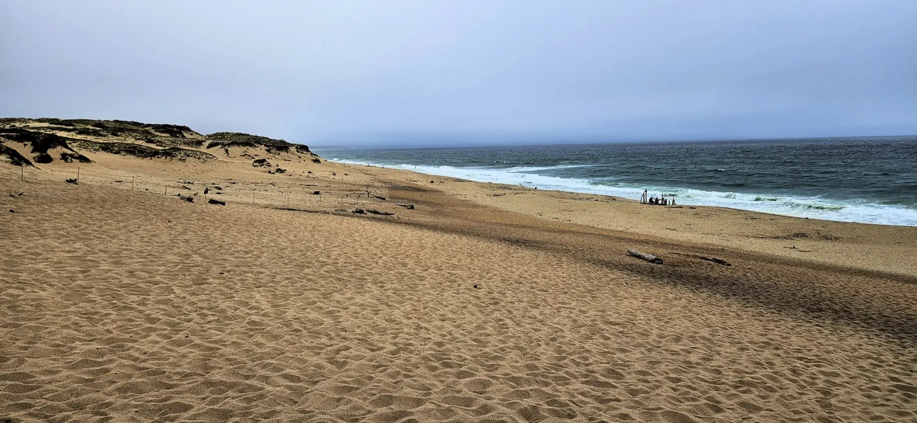 Sand dunes, shorebreak and ocean at Marina State Beach photographed in July 2023